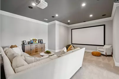 249 Pointe Overlook Drive, Chapin, SC 29036 - Photo 28