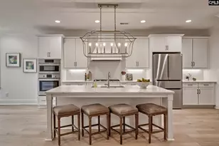 820 Elms Spinney Ln, Chapin, SC 29036 - Photo 4