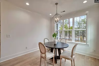 820 Elms Spinney Lane, Chapin, SC 29036 - Photo 10