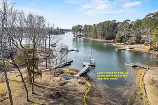 208 Lakeside Dr, Chapin, SC 29036 - Photo 8