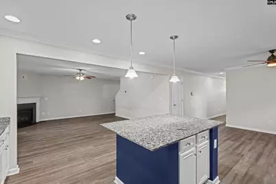 58 Mayapple Drive, Lexington, SC 29073 - Photo 10