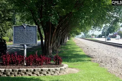 119 Locomotive (Lot 12) Lane, Irmo, SC 29063 - Photo 40