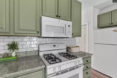 4 Saints Creek Place, Irmo, SC 29063 - Photo 14