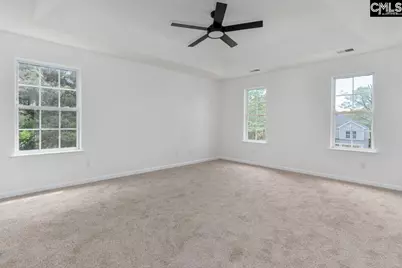 4 Saints Creek Place, Irmo, SC 29063 - Photo 22