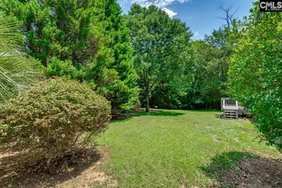 4 Saints Creek Place, Irmo, SC 29063 - Photo 36