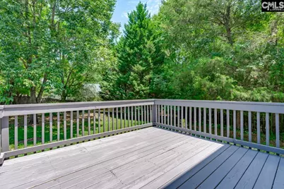 4 Saints Creek Place, Irmo, SC 29063 - Photo 26
