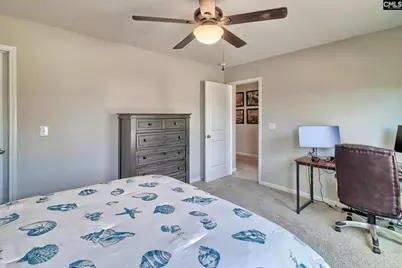 335 Saucer Way, Chapin, SC 29036 - Photo 46