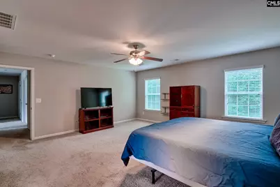 335 Saucer Way, Chapin, SC 29036 - Photo 32