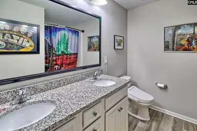 335 Saucer Way, Chapin, SC 29036 - Photo 38