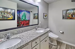 335 Saucer Wy, Chapin, SC 29036 - Photo 38