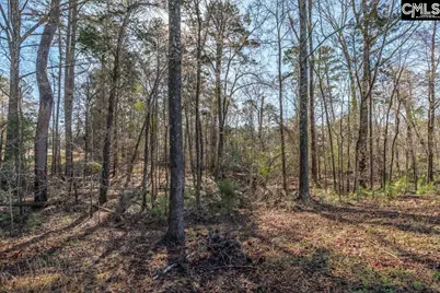 0 Bogater Road #57-61, Chapin, SC 29036 - Photo 8