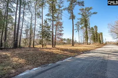 0 Bogater Road #57-61, Chapin, SC 29036 - Photo 6