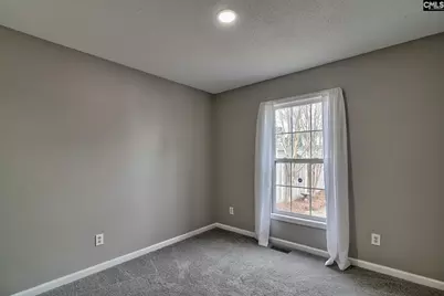 317 Louisa Lane, Lexington, SC 29073 - Photo 14