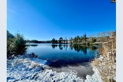 413 Blue Artesian Way 413, Lexington, SC 29073 - Photo 46