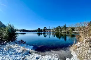 413 Blue Artesian Way 413, Lexington, SC 29073 - Photo 46