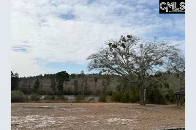 413 Blue Artesian Way 413, Lexington, SC 29073 - Photo 48