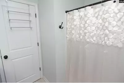 212 Glossy Green Lane, Lexington, SC 29072 - Photo 18