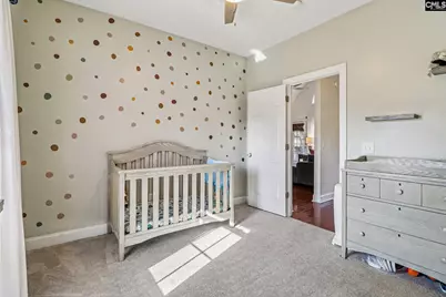 6 Blythewood Point Court, Blythewood, SC 29016 - Photo 34