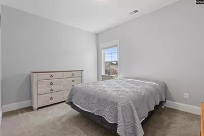 2051 Ludlow Place, Chapin, SC 29036 - Photo 24