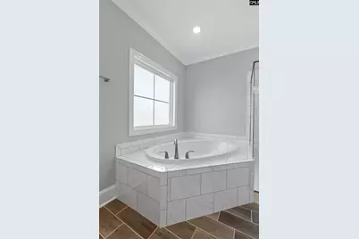 2051 Ludlow Place, Chapin, SC 29036 - Photo 20