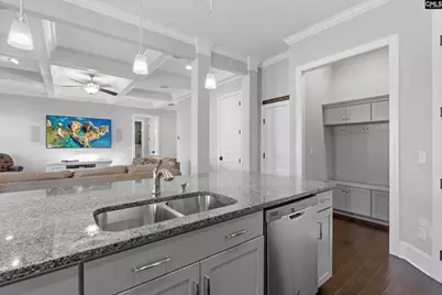 2051 Ludlow Place, Chapin, SC 29036 - Photo 10