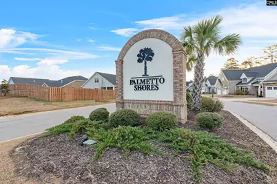 2051 Ludlow Place, Chapin, SC 29036 - Photo 30