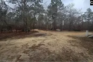 165 Landfill Ln, Lexington, SC 29073 - Photo 6