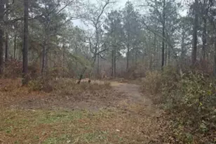 165 Landfill Ln, Lexington, SC 29073 - Photo 8