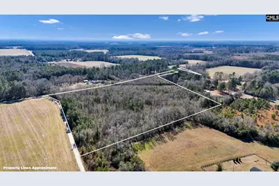 1533 Hickory Hill Road, Eastover, SC 29044 - Photo 12