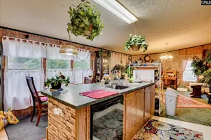 126 Airport Rd, Wagener, SC 29164 - Photo 6