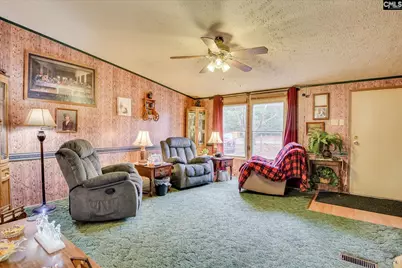 126 Airport Road, Wagener, SC 29164 - Photo 4