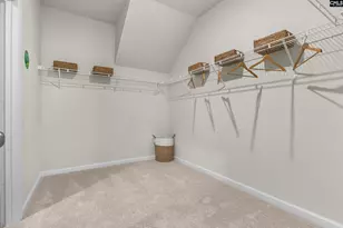 413 Nights Watch Way, Pelion, SC 29123 - Photo 32