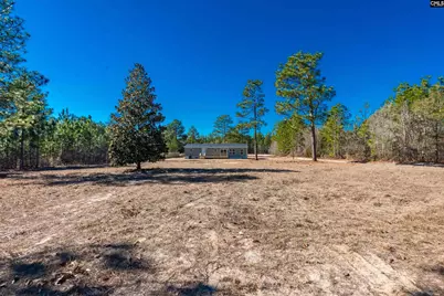 1061 Bub Shumpert Road, Pelion, SC 29123 - Photo 4