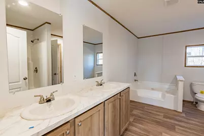 1061 Bub Shumpert Road, Pelion, SC 29123 - Photo 22