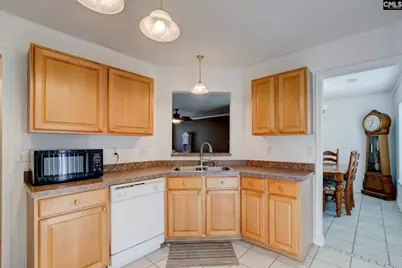 217 Caro Lane, Chapin, SC 29036 - Photo 20