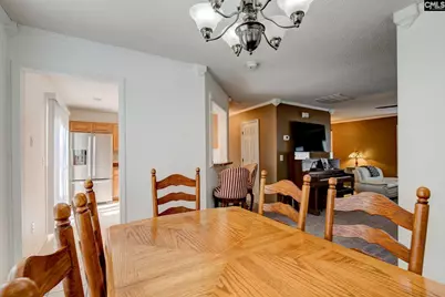 217 Caro Lane, Chapin, SC 29036 - Photo 22