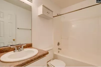 217 Caro Lane, Chapin, SC 29036 - Photo 14