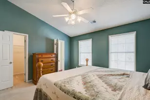 217 Caro Ln, Chapin, SC 29036 - Photo 10