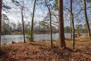 217 Caro Ln, Chapin, SC 29036 - Photo 2