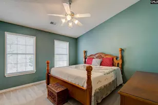 217 Caro Ln, Chapin, SC 29036 - Photo 14