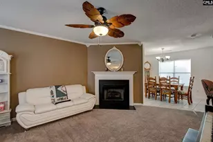 217 Caro Ln, Chapin, SC 29036 - Photo 4