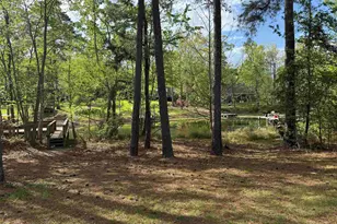 217 Caro Ln, Chapin, SC 29036 - Photo 28