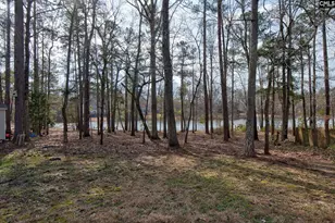 217 Caro Ln, Chapin, SC 29036 - Photo 26