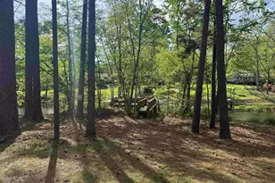 217 Caro Ln, Chapin, SC 29036 - Photo 30