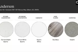 718 Ben Gunn Run, Gilbert, SC 29054 - Photo 4