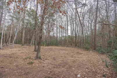 77 Bird Song Lane, Elgin, SC 29045 - Photo 38