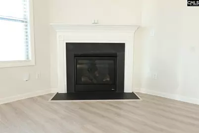 1005 Old Town Road, Irmo, SC 29063 - Photo 22