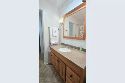 6 Green Shank Court, Irmo, SC 29063 - Photo 30