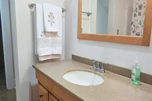 6 Green Shank Ct, Irmo, SC 29063 - Photo 30