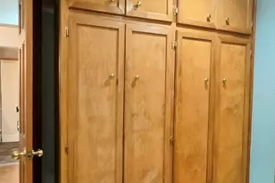 6 Green Shank Ct, Irmo, SC 29063 - Photo 34